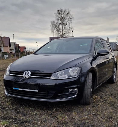 Volkswagen Golf cena 37000 przebieg: 187450, rok produkcji 2013 z Szczecin małe 352